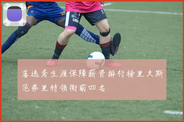 落选秀生涯保障薪资排行榜里夫斯范弗里特领衔前四名