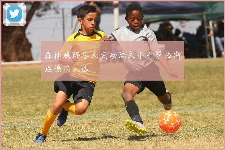 森林狼阵容大变动欧文小卡萨格斯成热门人选