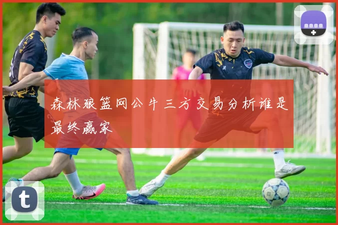 森林狼篮网公牛三方交易分析谁是最终赢家